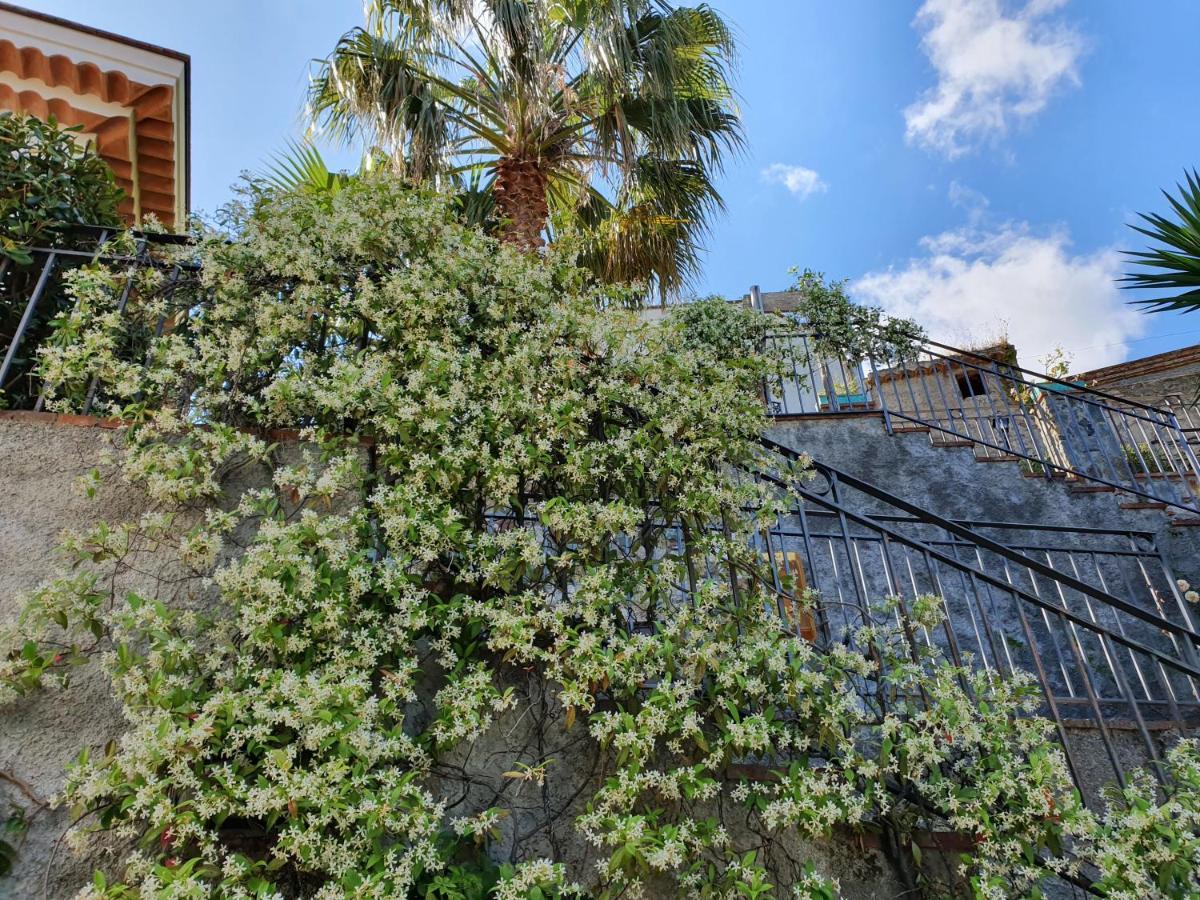Hotel Borgo San Francesco à Gioiosa Marea Extérieur photo